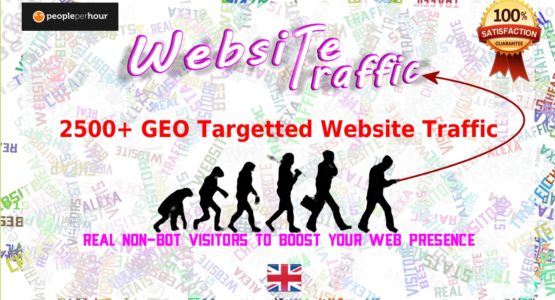 Buy 2500 Real GEO Targetted Traffic adn Visitors to your website