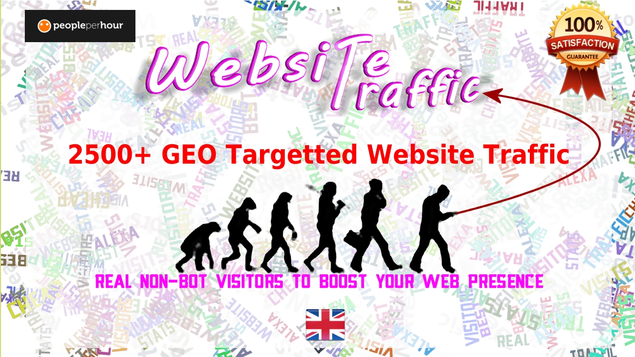 Buy 2500 Real GEO Targetted Traffic adn Visitors to your website