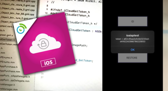 iCloud Get Token - Extension